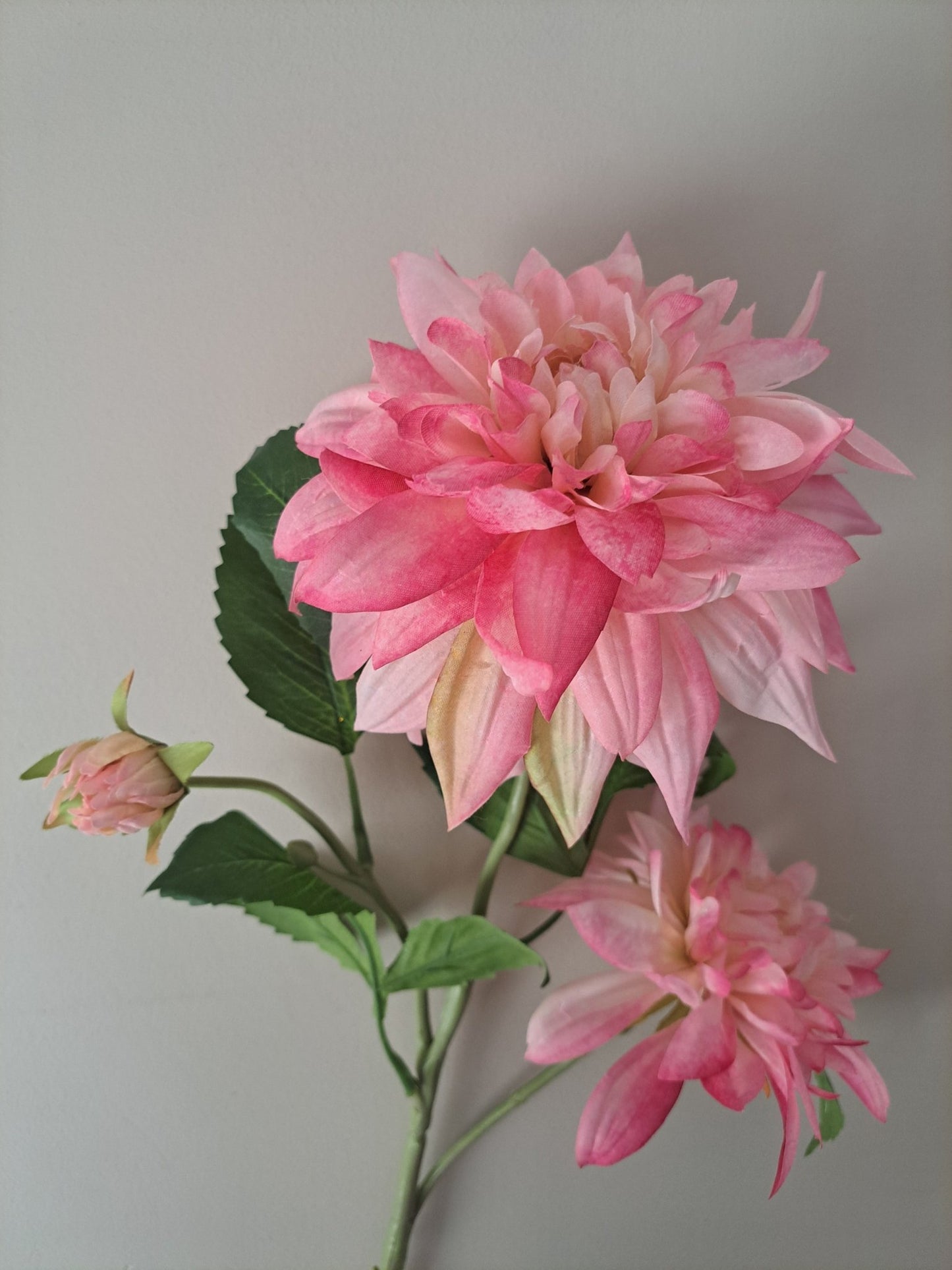 Dahlia | 66cm | roze - Decobloss