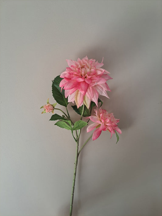 Dahlia | 66cm | roze - Decobloss