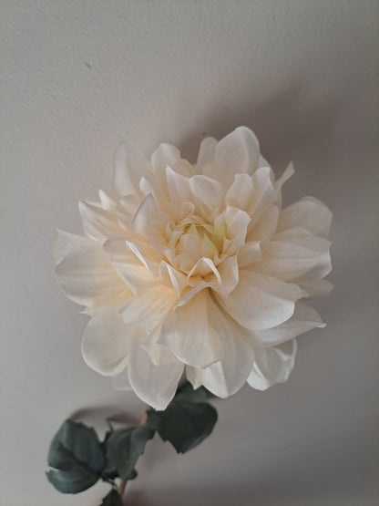 Dahlia | creme | 60cm - Decobloss