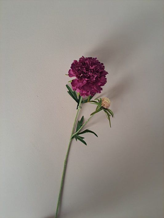 Diamant scabiosa | 59cm | Bordeauxrood - Decobloss