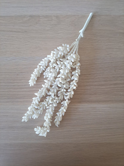 Erwtenplantje | cream | 33cm - Decobloss