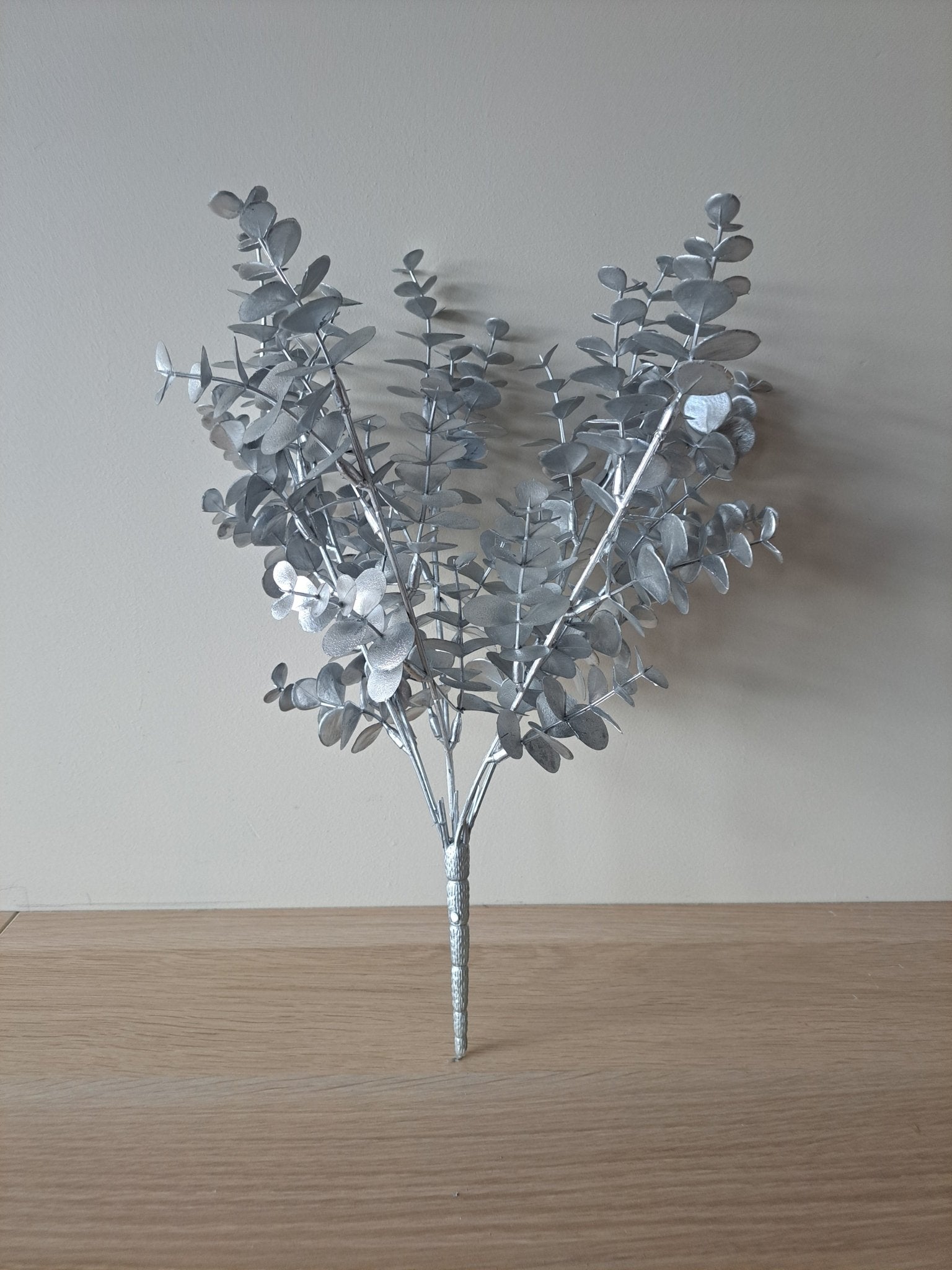 Eucalyptus tak | zilver | 40x30 cm - Decobloss