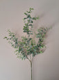 Eucalyptustak | 65cm - Decobloss