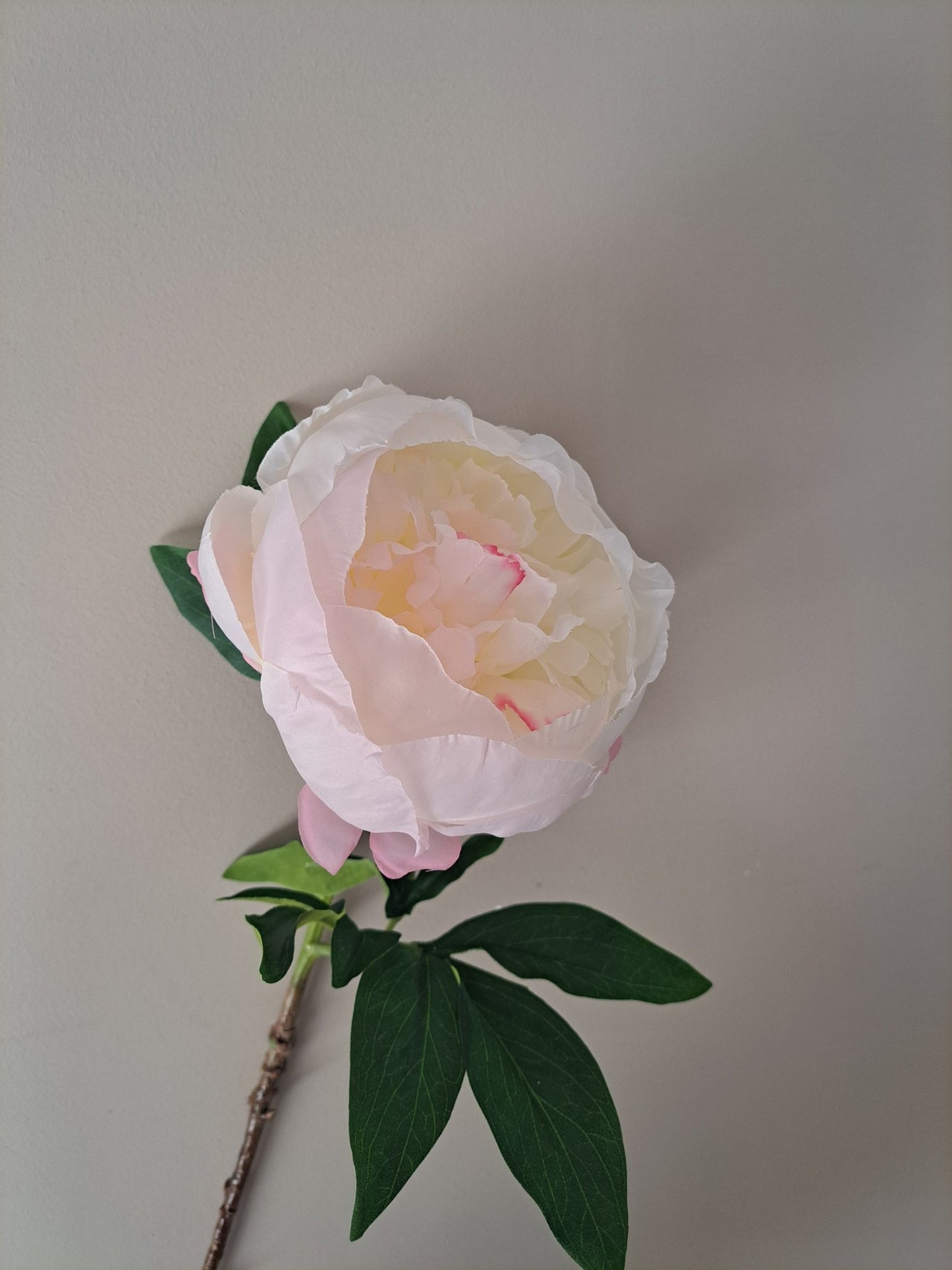 Pioen | roze | 57cm - Decobloss